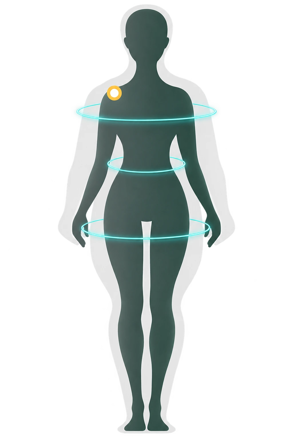 Body Assessment